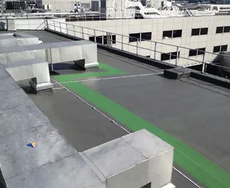 Sealoflex Roof Building
